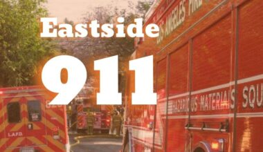 Grass fire breaks out in Elysian Park | Solano Canyon News
