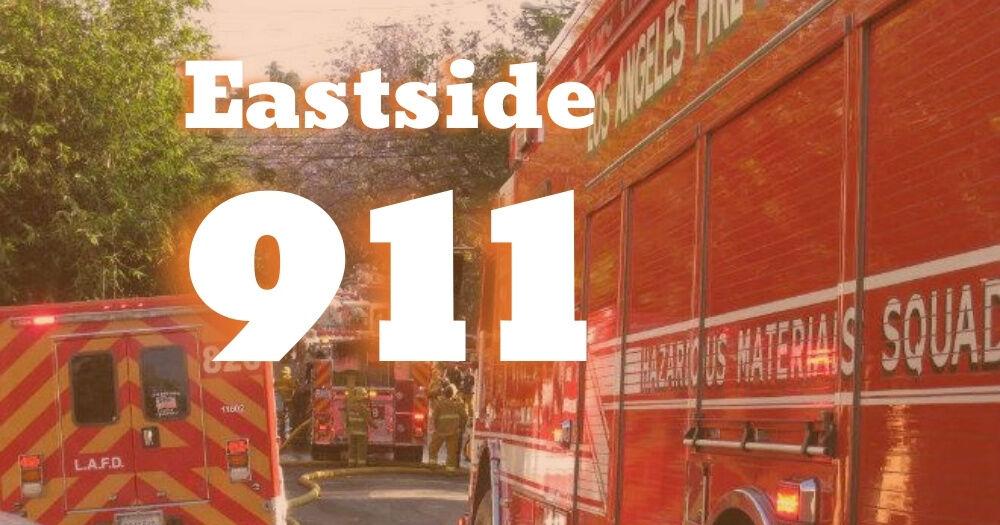 Grass fire breaks out in Elysian Park | Solano Canyon News