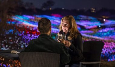 Art installation Sensorio to support Bakersfield Museum of Art | Entertainment