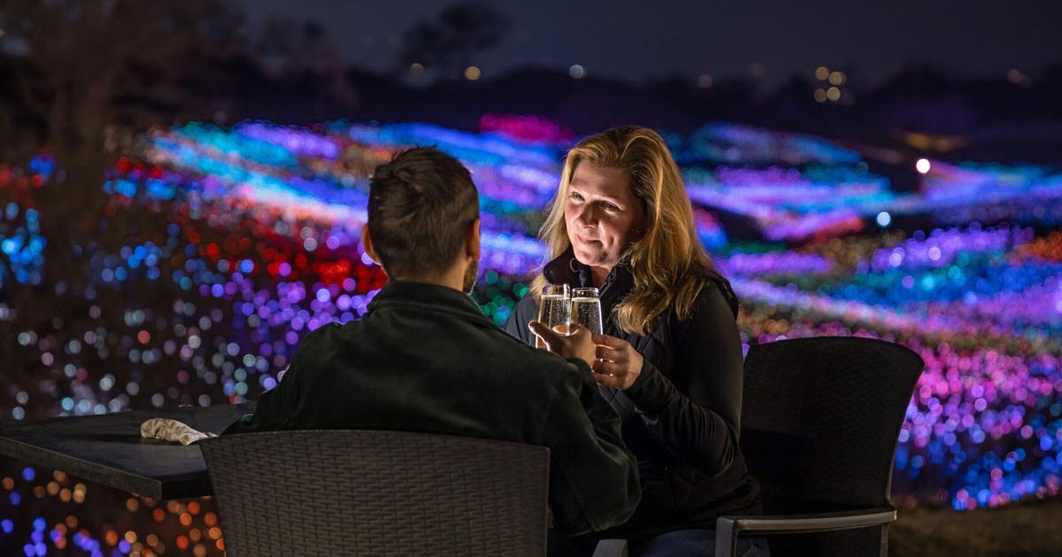 Art installation Sensorio to support Bakersfield Museum of Art | Entertainment