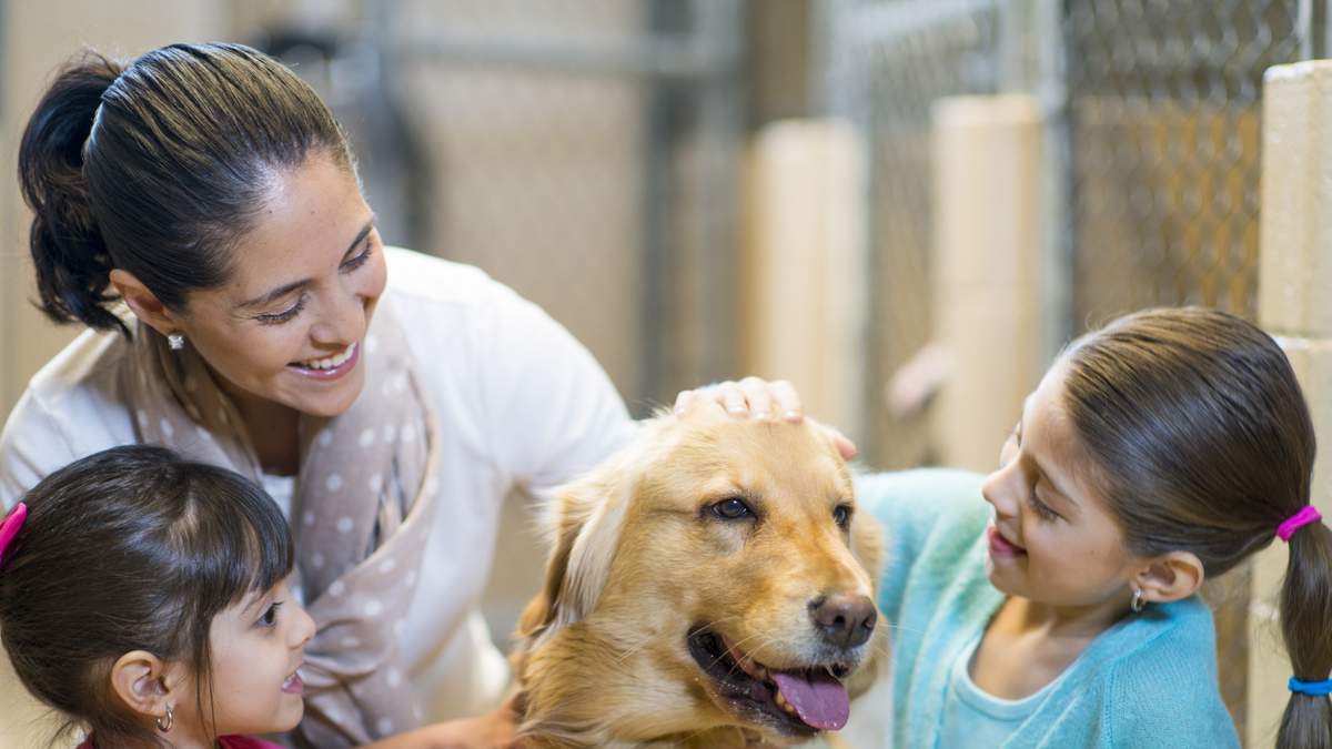 It's Wet Nose Wednesday! Here's How You Can Help LA Animal Services In July