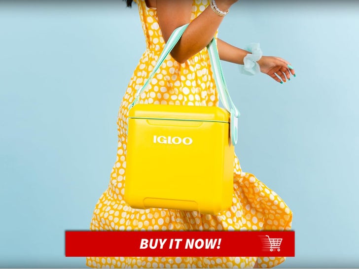Igloo-Tag-Along-Too-Coole-Summer-Outing-Essentials-MAIN