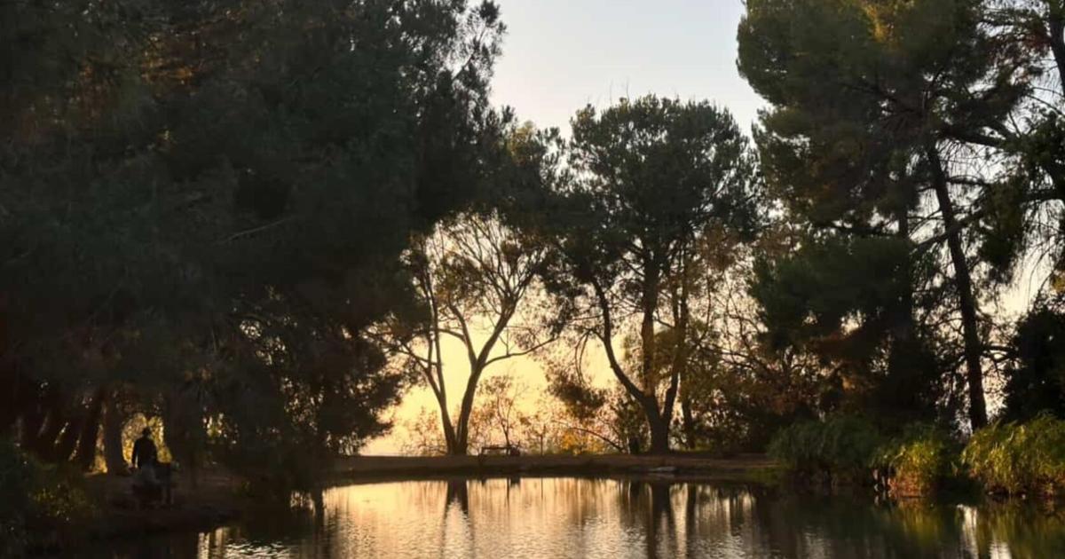 What will Debs Park need under its next master plan? | Montecito Heights News