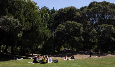 City of Berkeley provides free lunches to children throughout July | City