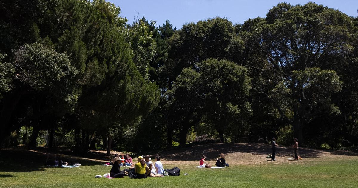 City of Berkeley provides free lunches to children throughout July | City