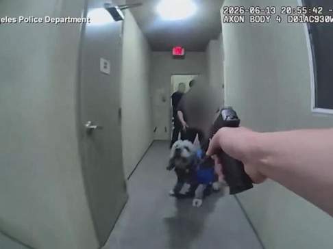 Owner of Pet Labradoodle Dog Killed by Cops Sues City of L.A.