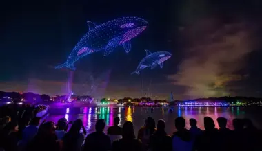 Summer Spectacular at SeaWorld San Diego!