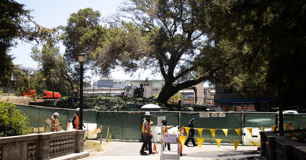 UC Berkeley may see path blockages from North Field construction replacing aging power plant | Campus