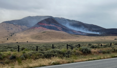 Elephant Fire has burned an estimated 4,400 acres, five percent contained | California News