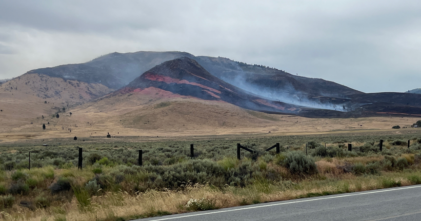 Elephant Fire has burned an estimated 4,400 acres, five percent contained | California News