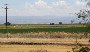 What the Endangered Species Act changes could mean for Northern California | News