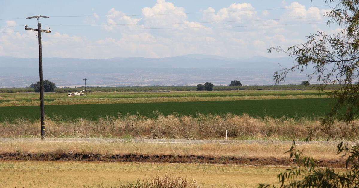 What the Endangered Species Act changes could mean for Northern California | News