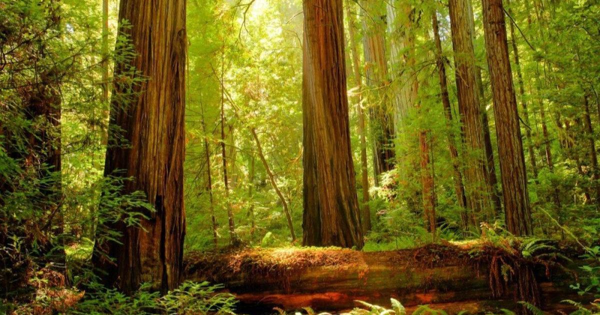 Closest national parks to Sacramento | State