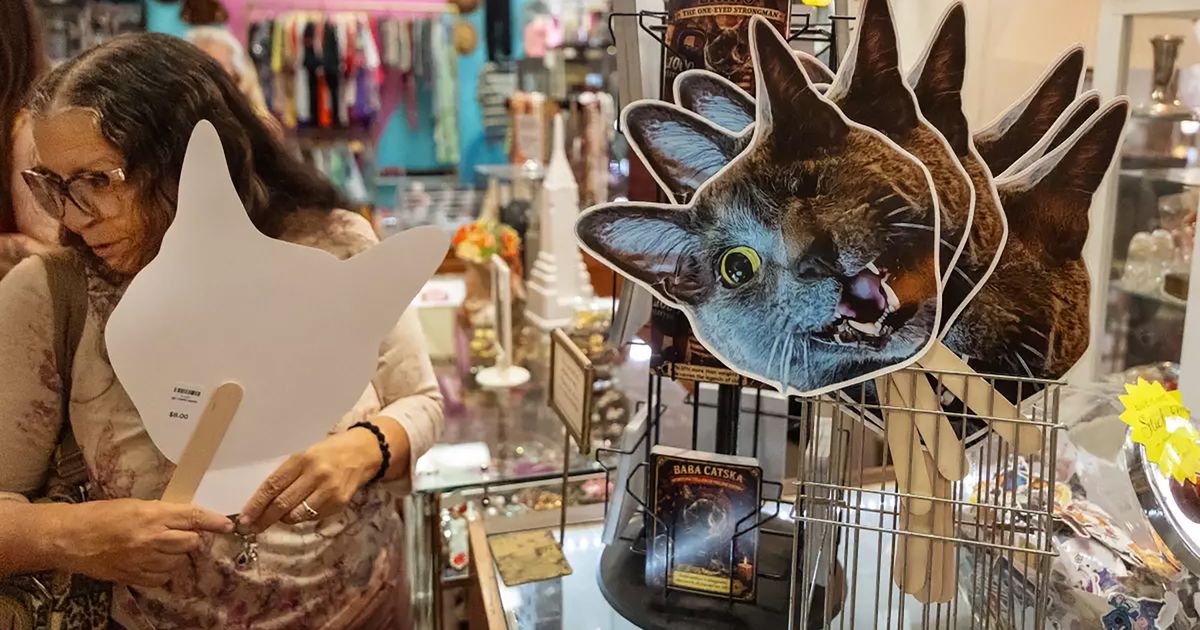 One-eyed rescue cat with cult following celebrates 15th birthday in style