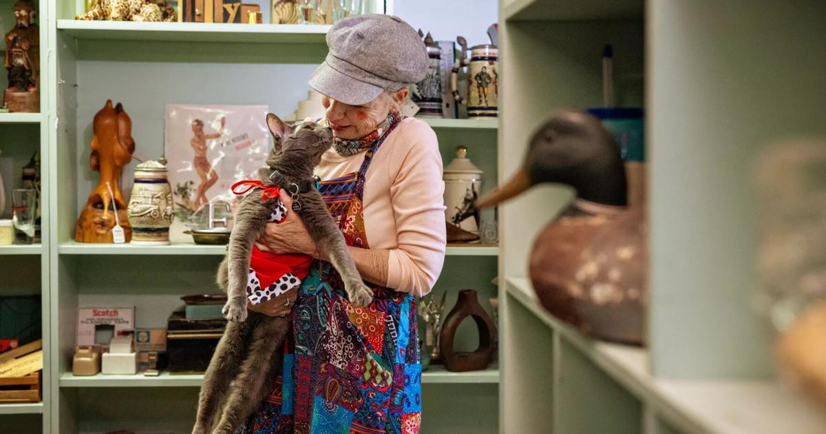 One-eyed rescue cat with cult following celebrates 15th birthday in style | News