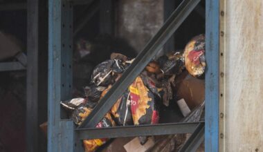 1,000 Resident Air Complaints Filed With Regulators Over Lineage Stench