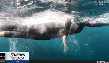 California woman swimming the entire length of the state's coast | California News