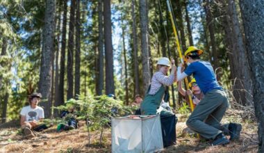 California can’t replant its forests fast enough to keep up with wildfires | News