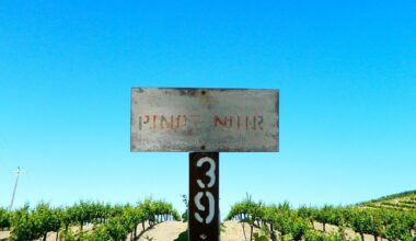 Decline of California Wine Industry |