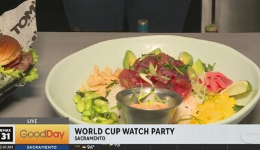 Tom's Watch Bar Celebrating the World Cup Championship