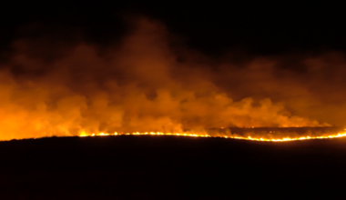 Kern County Fire, Bakersfield Fire document high levels of firework reports, fires across county on July 4