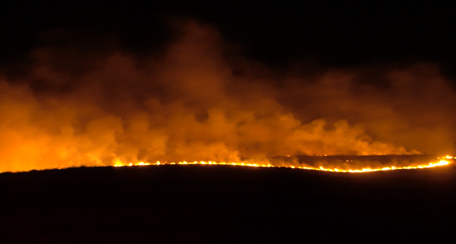 Kern County Fire, Bakersfield Fire document high levels of firework reports, fires across county on July 4