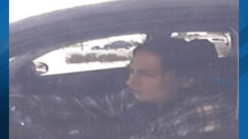 The Bakersfield Police Department is asking for the community’s help in identifying a woman and two vehicles allegedly involved in a grand theft. PHOTO: BPD