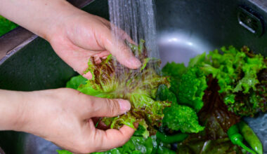 Food suppliers weigh in as diarrhea parasite tied to CA firm