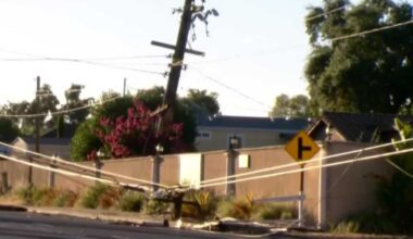 Major Carmichael roadway blocked after vehicle shears off utility pole