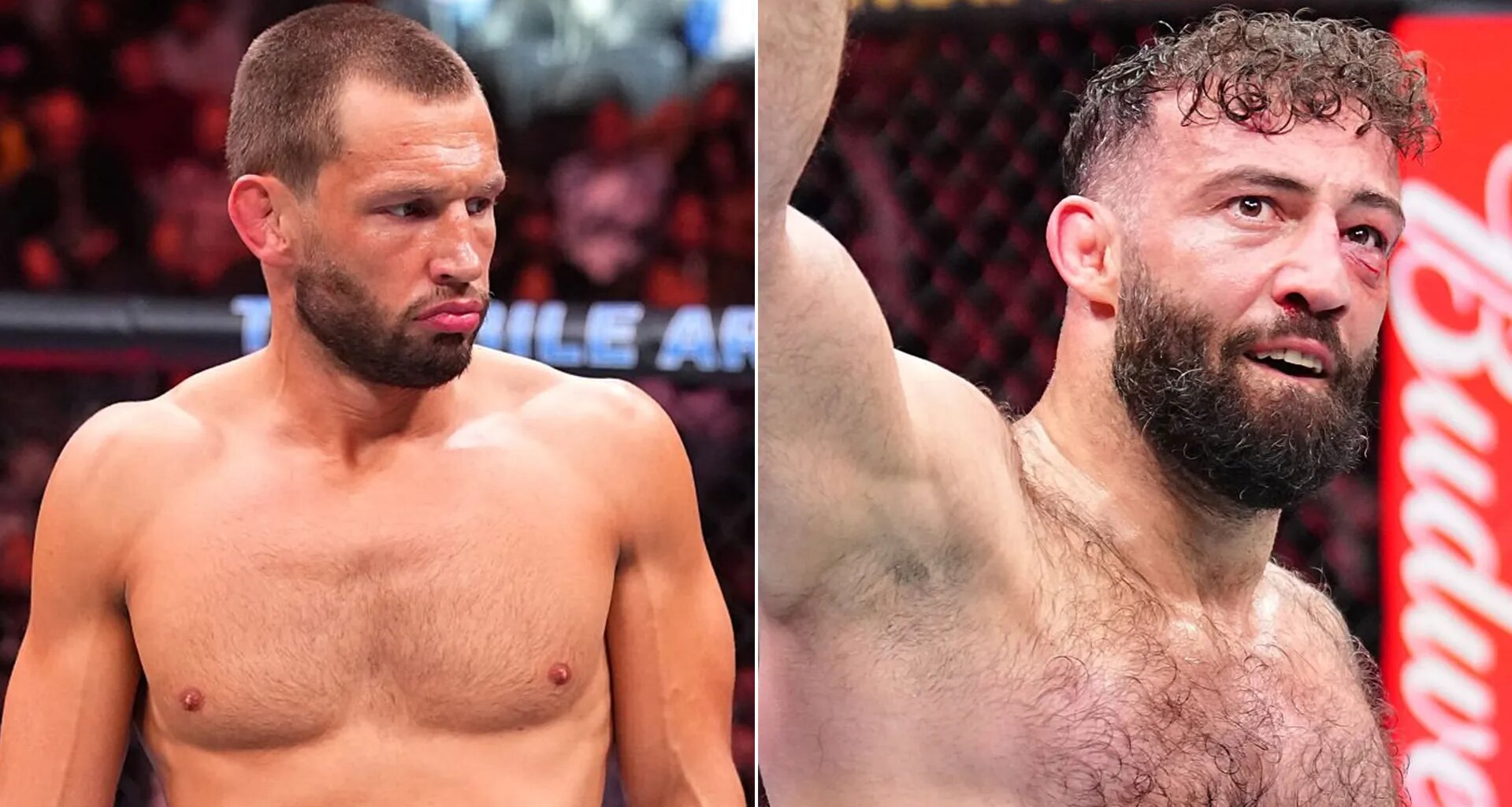 Reinier de Ridder, Roman Dolidze make 205 moves for UFC Sacramento
