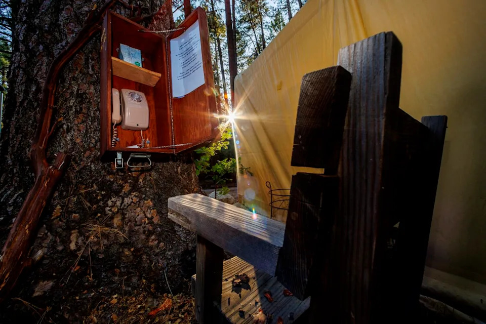 A homemade wooden bench faces a wind phone on the backside of a tree.