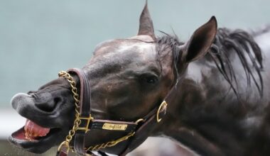Kentucky Derby entrant the favorite to win Friday's Real Good Deal Stakes at Del Mar