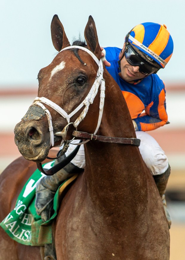 In this photo provided by Benoit Photo, Multiple stakes-winner Journalism and jockey Umberto Rispoli win the Grade II $300,000 San Diego Handicap, Saturday, July 18, 2026, at Del Mar Thoroughbred Club in Del Mar, Calif. (Benoit Photo via AP)