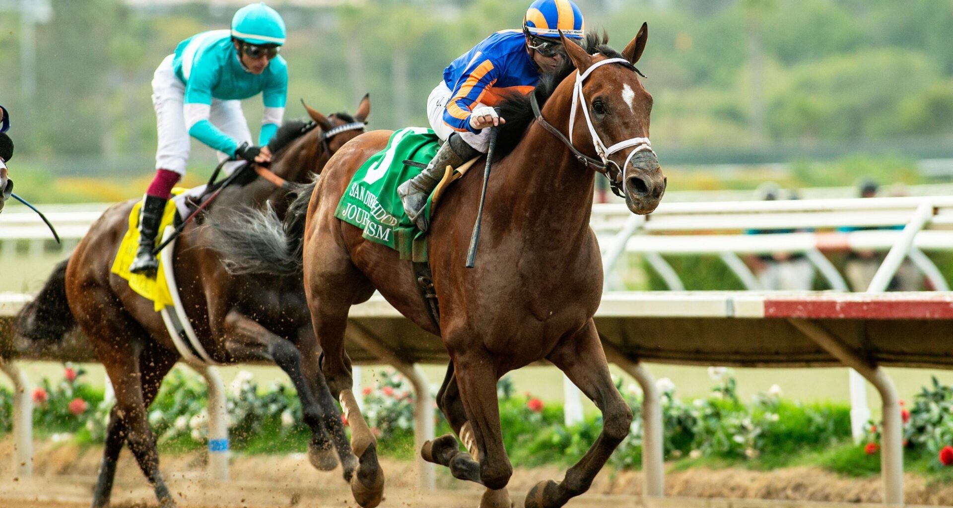 Journalism retired to stud after suffering injury at Del Mar; horse 'breathed a different air'