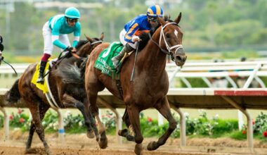 Journalism retired to stud after suffering injury at Del Mar; horse 'breathed a different air'