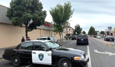Critics call for 'full transparency' after Oakland's 3rd fatal police shooting