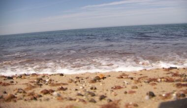 Beach warnings issued as heat sends residents to coast – NBC Los Angeles