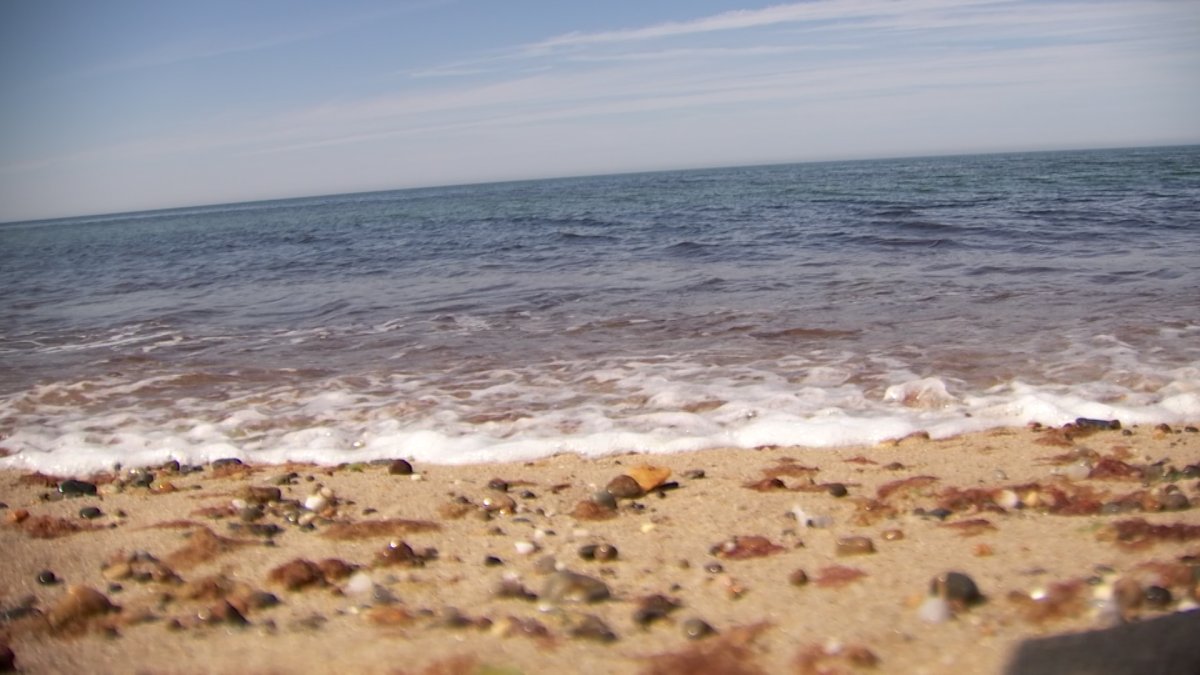 Beach warnings issued as heat sends residents to coast – NBC Los Angeles