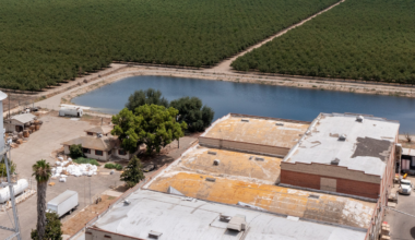 groundwater recharge basin