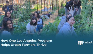 How One Los Angeles Program Helps Urban Farmers Thrive – Food Tank