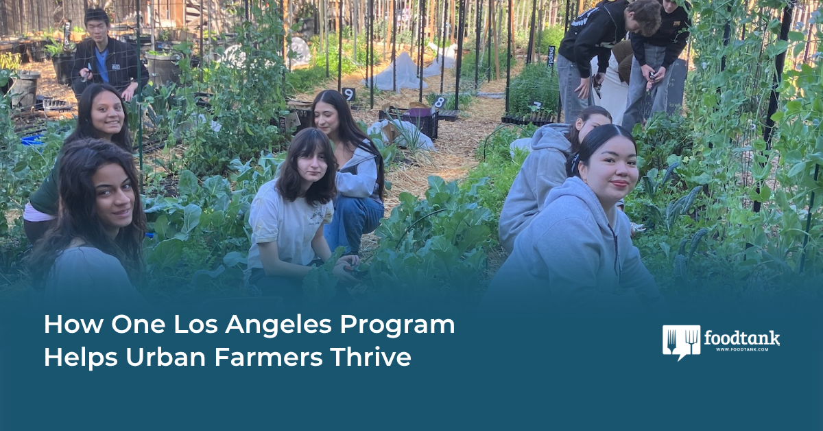 How One Los Angeles Program Helps Urban Farmers Thrive – Food Tank