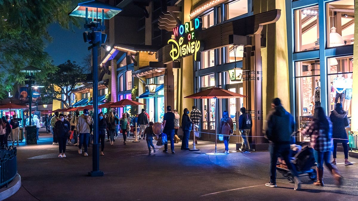 Stock image of Disneyland at night