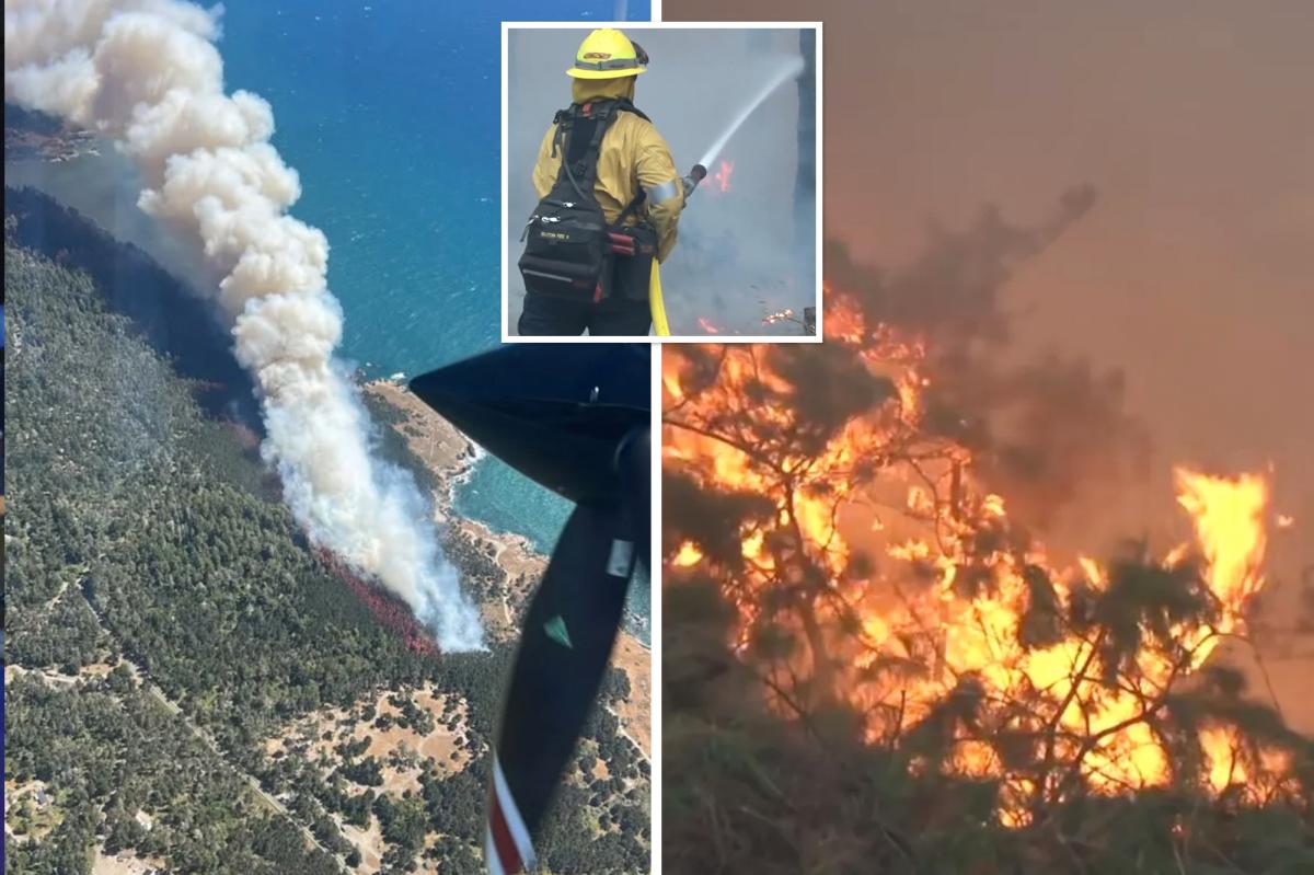 Sonoma County Woodside fire spreads in California wine country