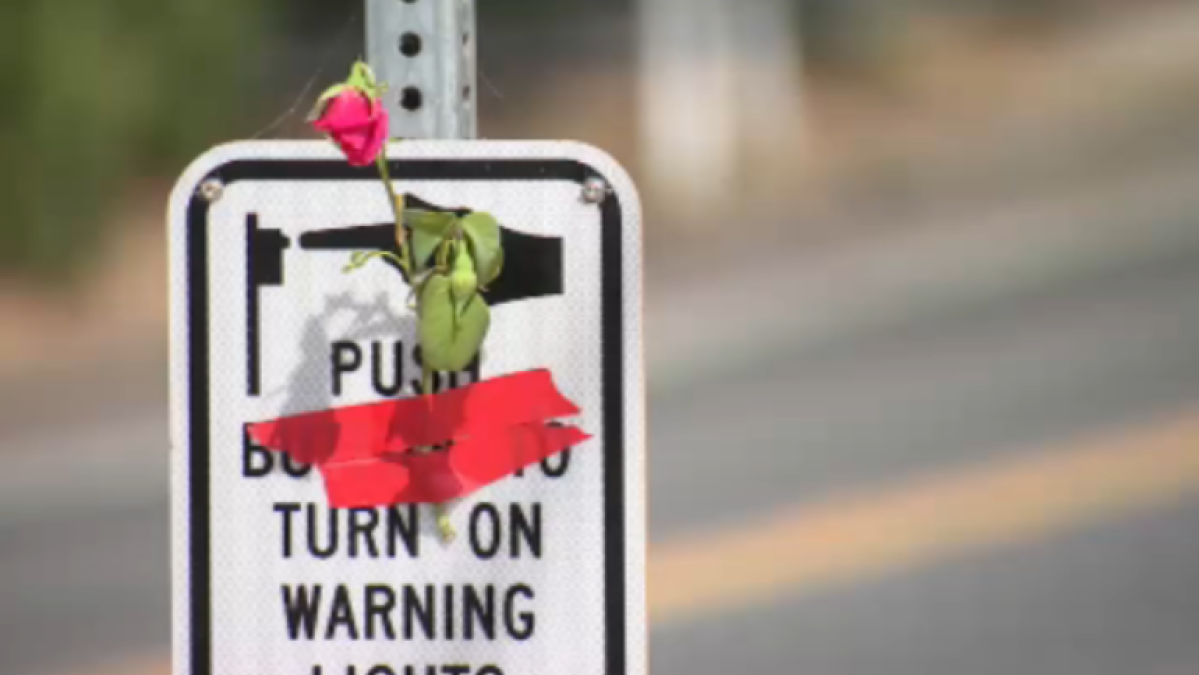 Neighbor raises speed concerns following car vs. pedestrian crash in Encinitas – NBC 7 San Diego
