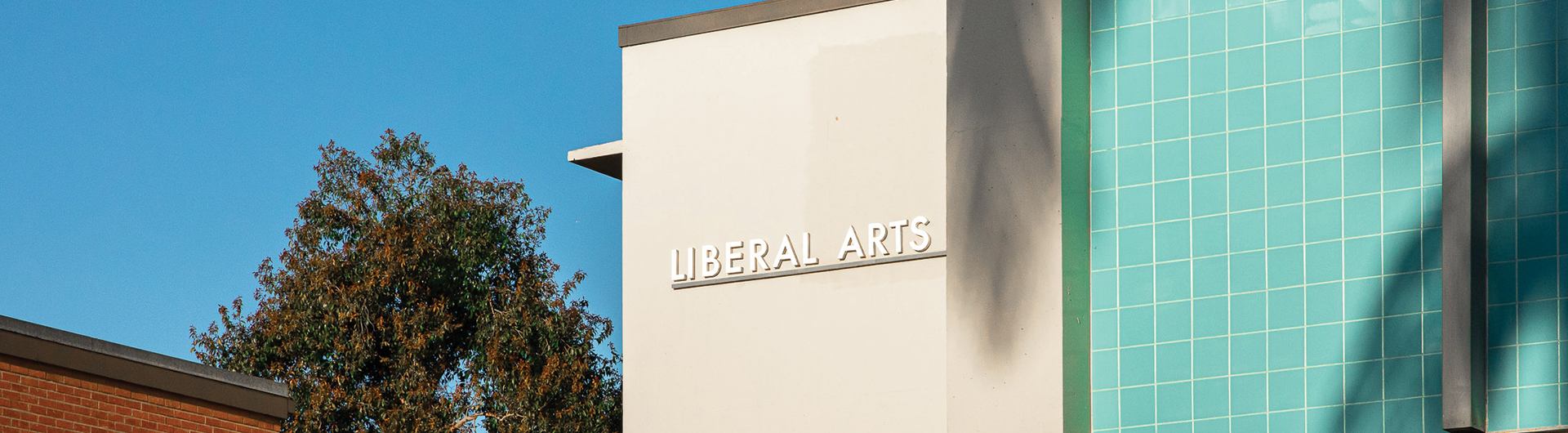 Historian Donna Nicol '99 to lead CSULB College of Liberal Arts
