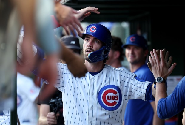 Chicago Cubs shortstop Dansby Swanson (7) is congratulated by his teammates in the dugout after hitting a solo home run in the second inning of a game against the San Diego Padres at Wrigley Field in Chicago on June 30, 2026. (Chris Sweda/Chicago Tribune)