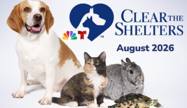 2026 Clear the Shelters annual pet adoption event in San Diego – NBC 7 San Diego