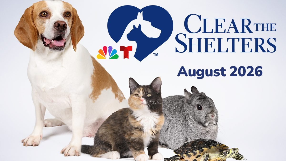 2026 Clear the Shelters annual pet adoption event in San Diego – NBC 7 San Diego