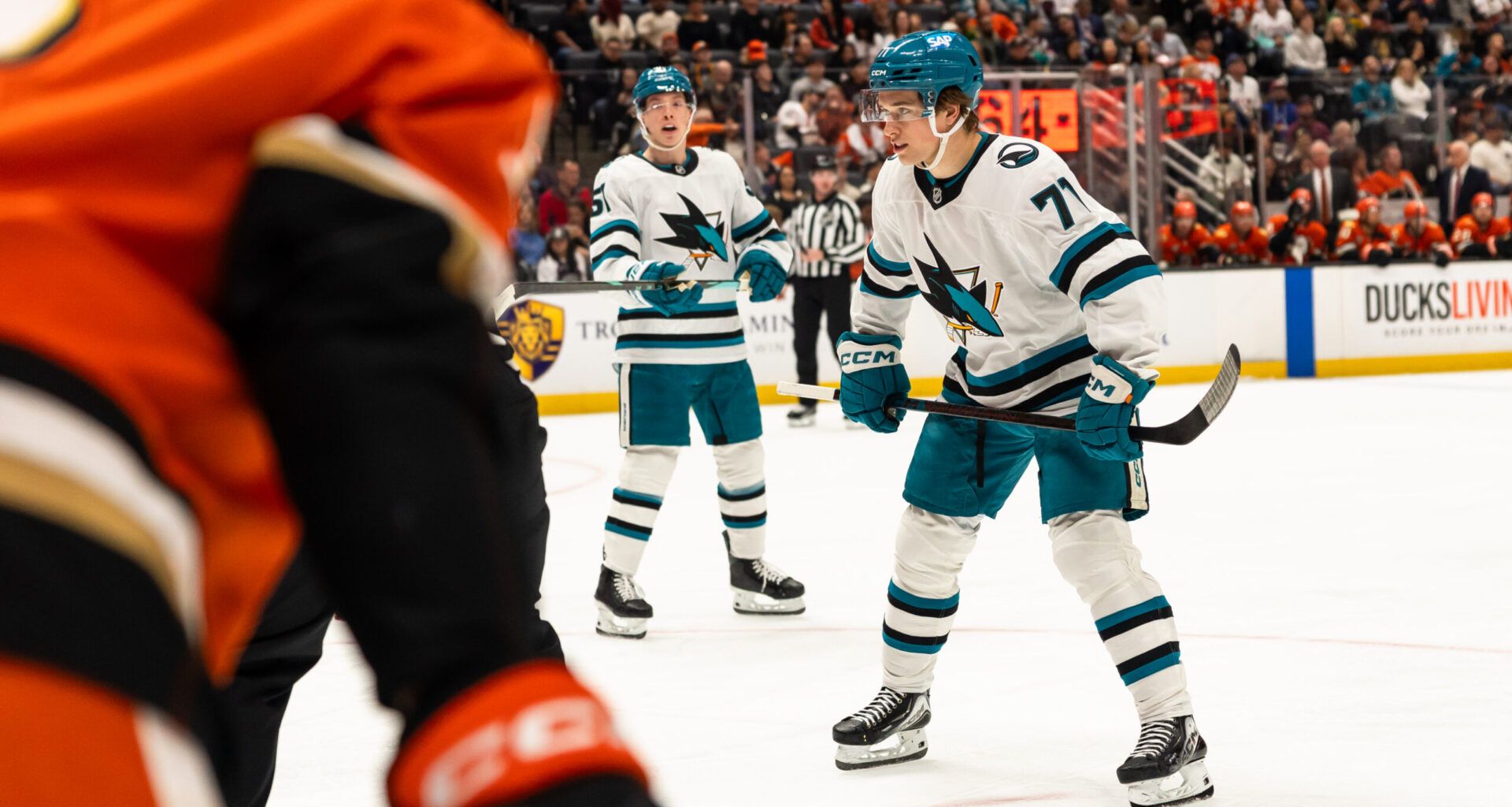 Agent: Carlsson Offer Sheet Shouldn’t Change Much About Celebrini Extension