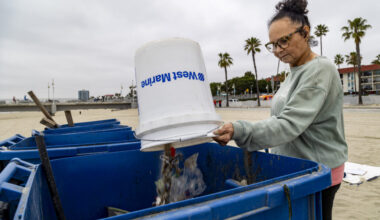 Long Beach hosts Independence from Litter Cleanup following Fourth of July celebration
